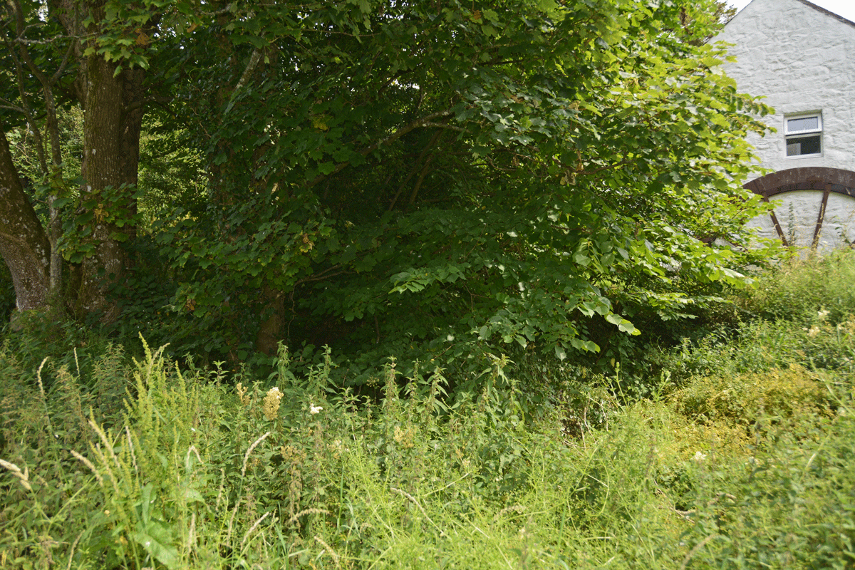 Click for the gallery page to add comments and vote (PID:244870) St Winning's Well (Kirkgunzeon)