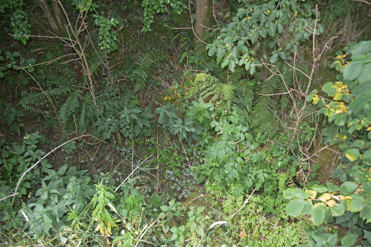 Looking down into the bowl of the well.  Easier to see the stones forming a very rough bowl with the eye, rather than in the photograph.  Large stone(s) in the foreground, then an arc of rough-worked stone-work courses from the right hand side across to the middle of the photograph, well hidden by shrubbery.  Perhaps best seen in winter?  No water was visible at the time of our visit. Said by the 