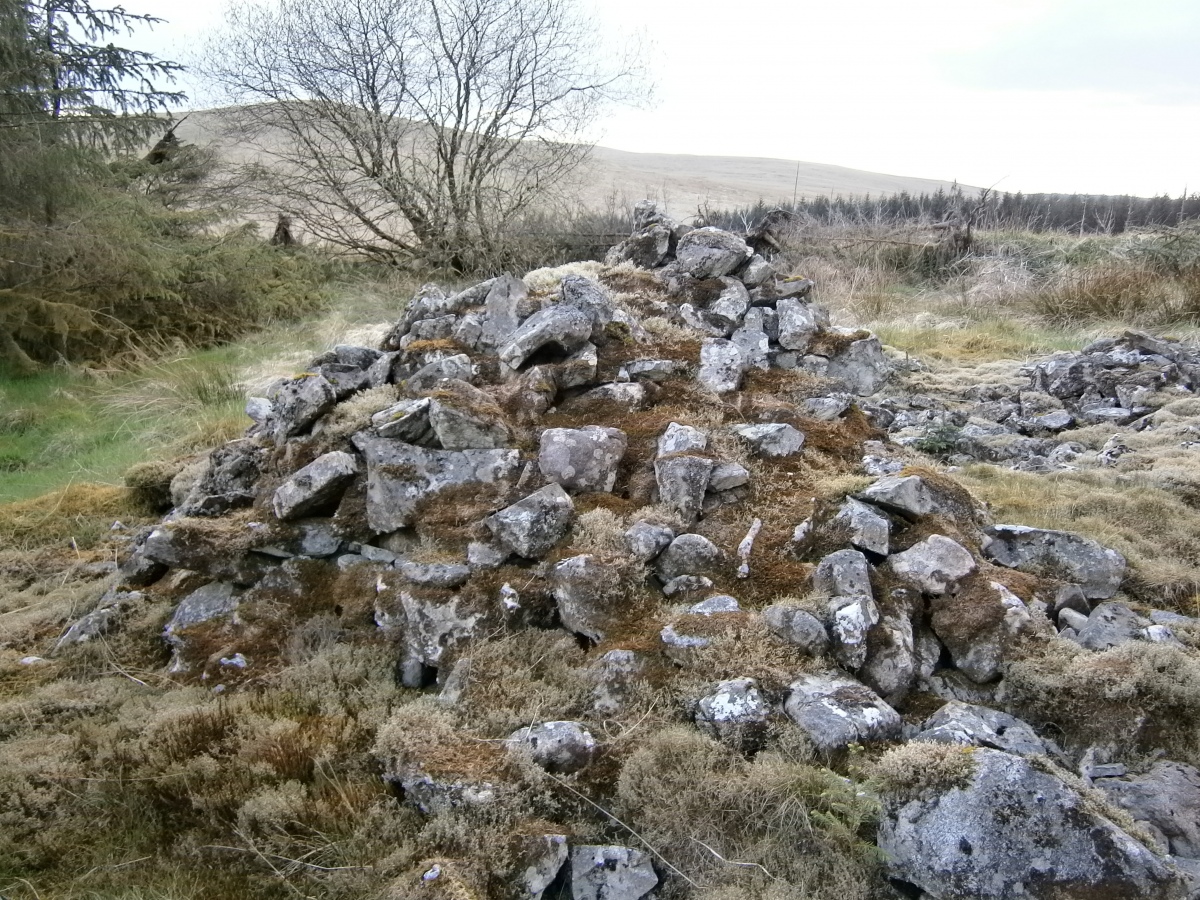 Click for the gallery page to add comments and vote (PID:227820) Brownhill Burn
