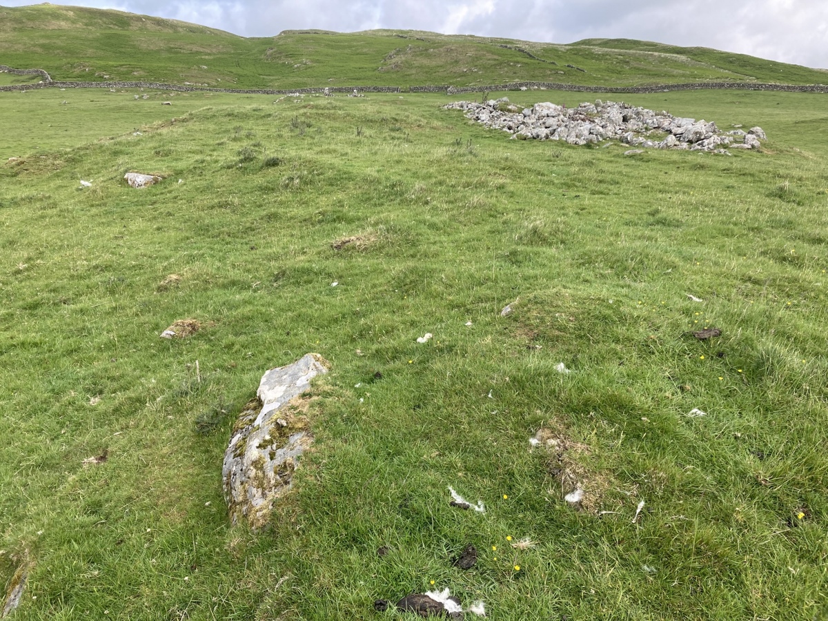 Cairnholy 8