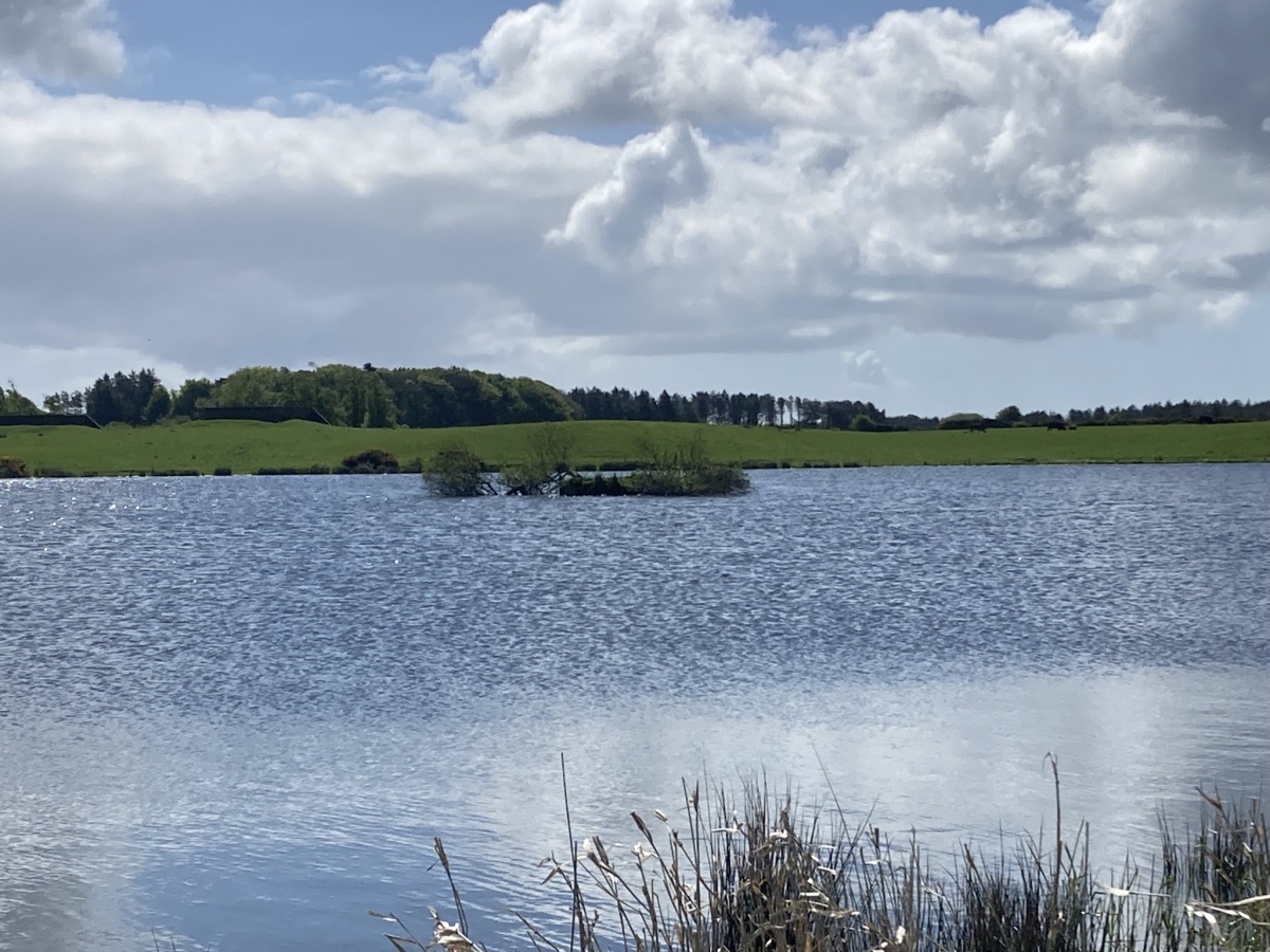 Click for the gallery page to add comments and vote (PID:258037) Cults Loch