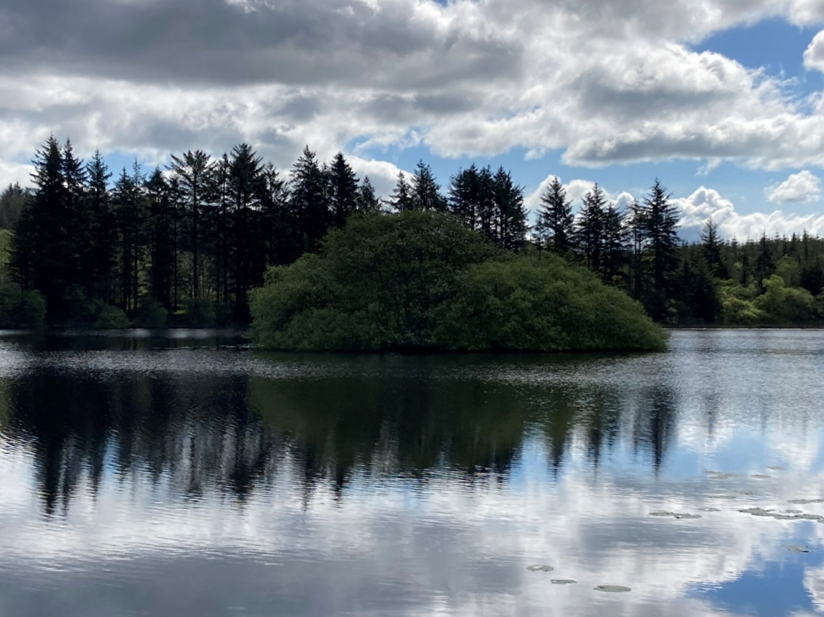 Click for the gallery page to add comments and vote (PID:257859) Loch Heron