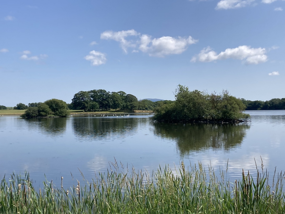 Click for the gallery page to add comments and vote (PID:259791) Milton Loch Central