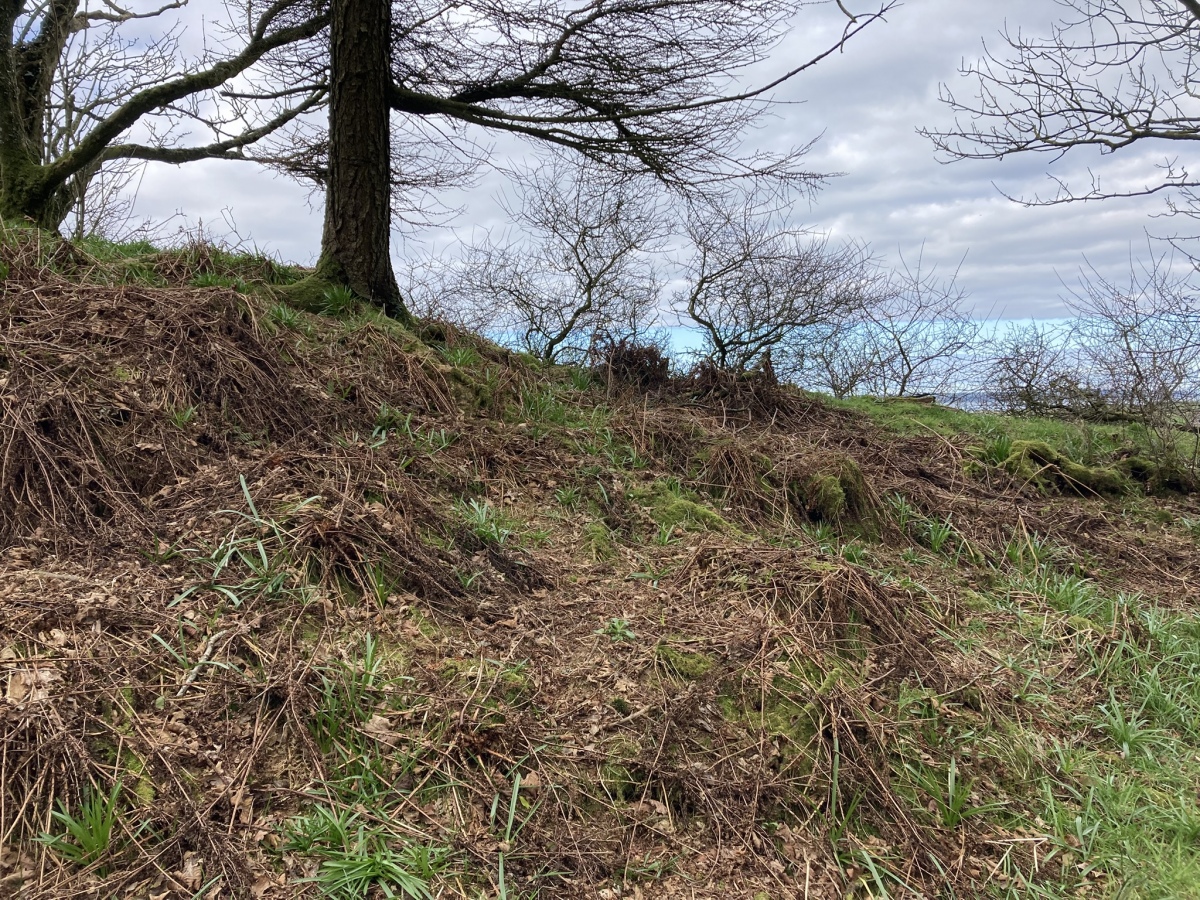 Click for the gallery page to add comments and vote (PID:289789) Cairn Macneilie (Inch Parks)