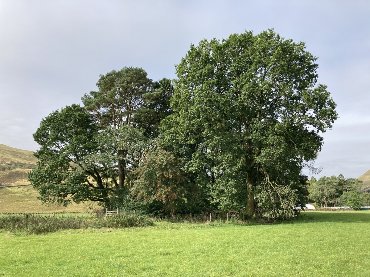 Click for the gallery page to add comments and vote (PID:277509) Nether Holm Of Dalquhairn