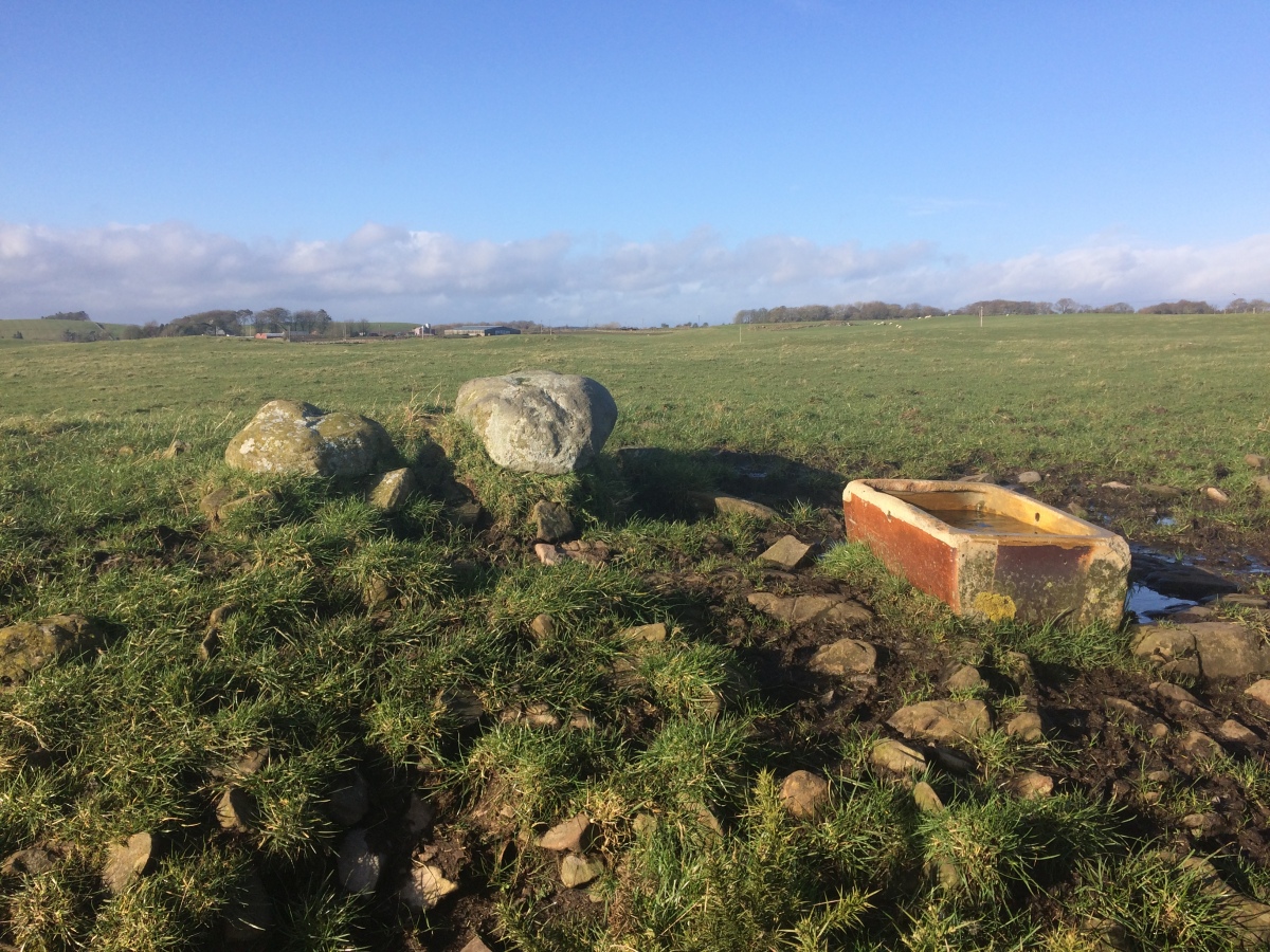 Torhouseskie South West Standing Stones
