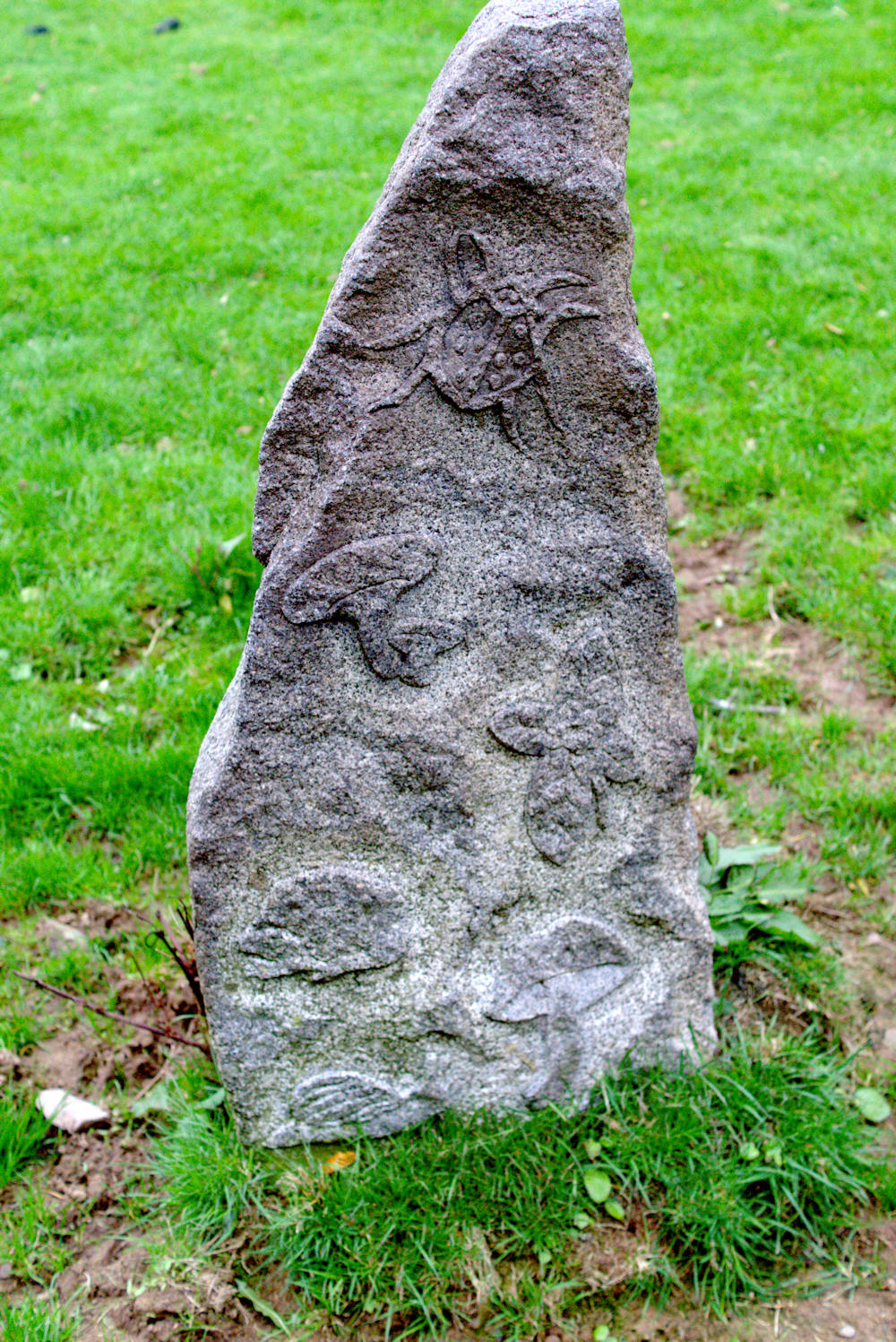 Click for the gallery page to add comments and vote (PID:185828) Kirkcudbright Standing Stones