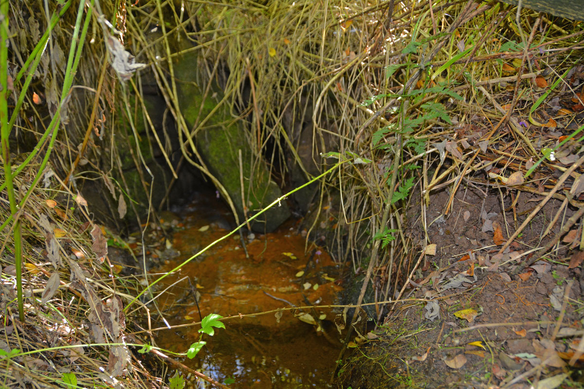Bloch Well (Langholm)