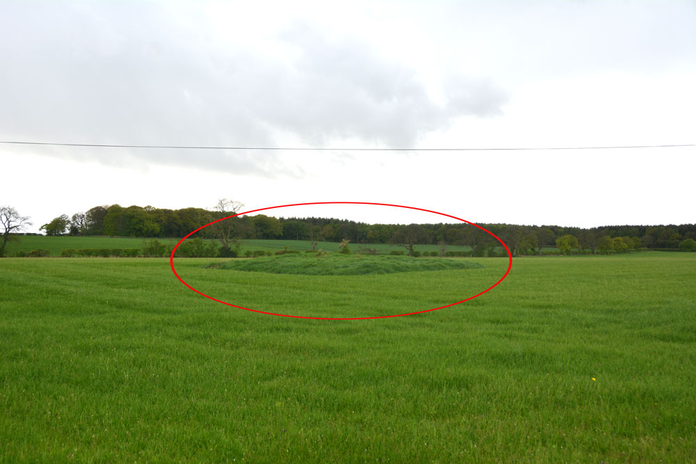Click for the gallery page to add comments and vote (PID:196979) Mossknowe 2