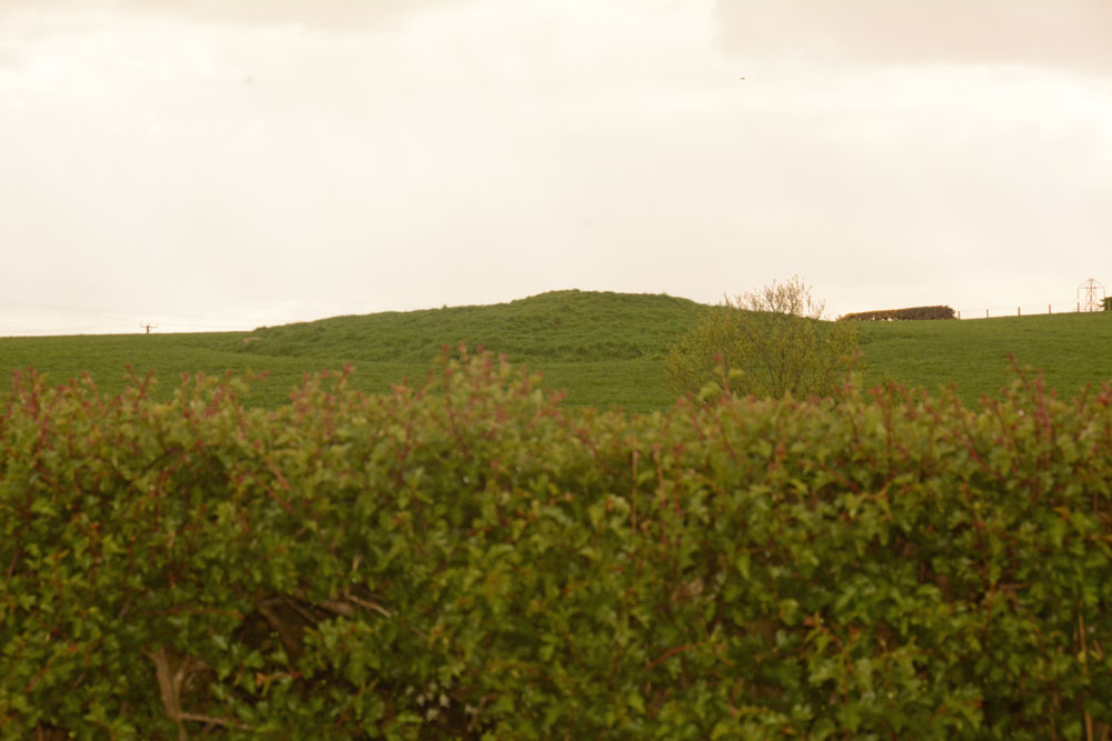 Click for the gallery page to add comments and vote (PID:196980) Mossknowe 3