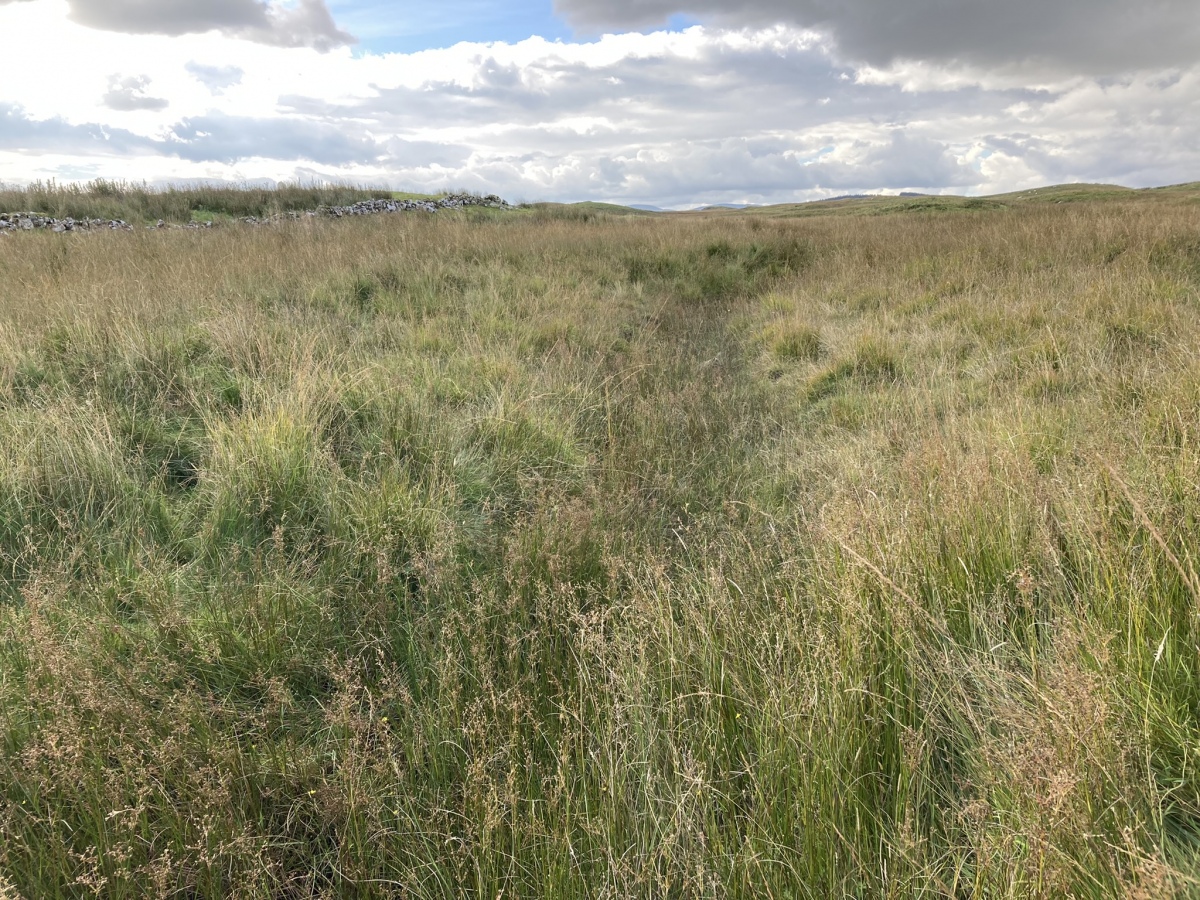 Chalybeate Well (Dalry)