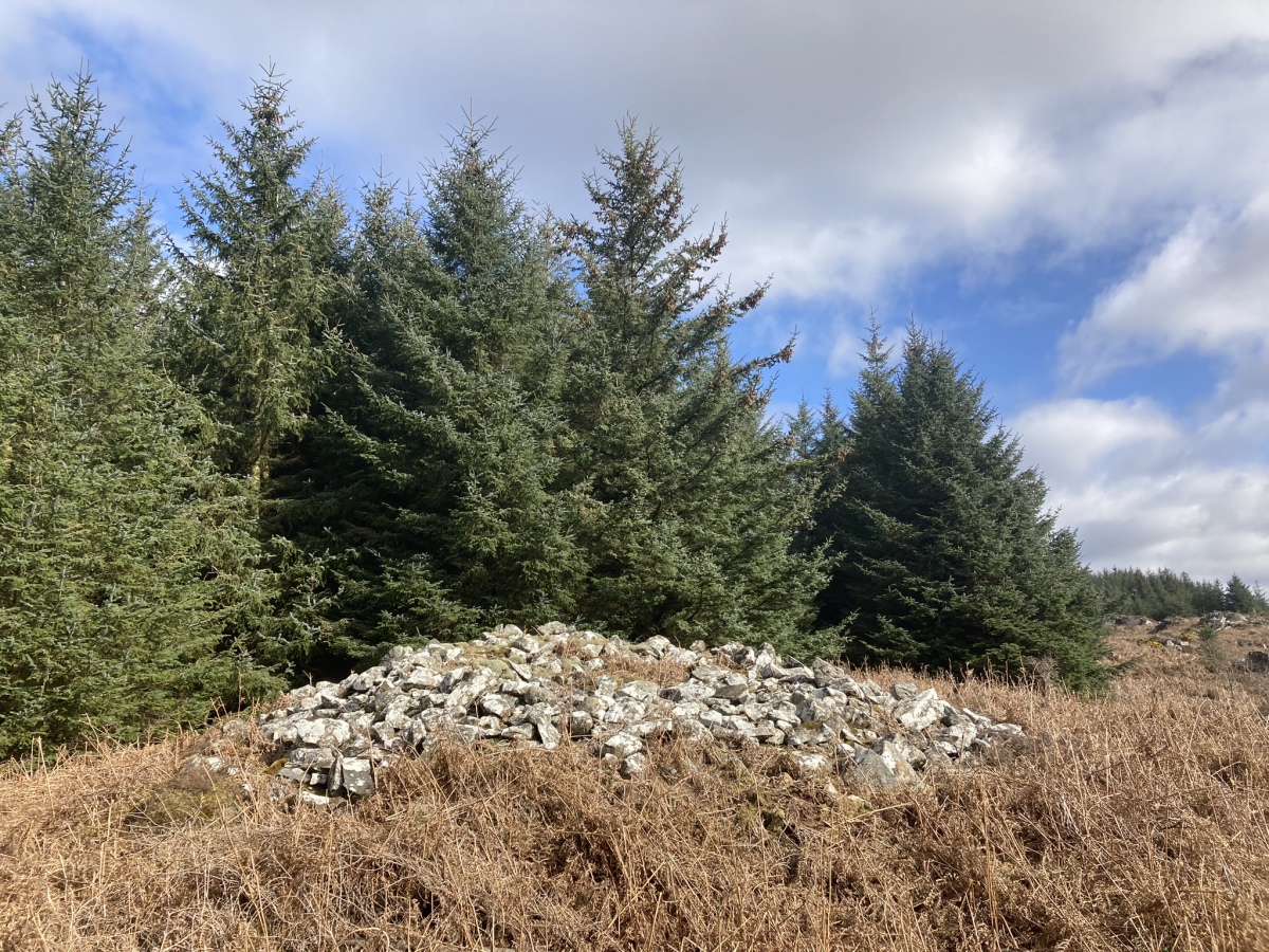 Click for the gallery page to add comments and vote (PID:256610) Craignarget Hill