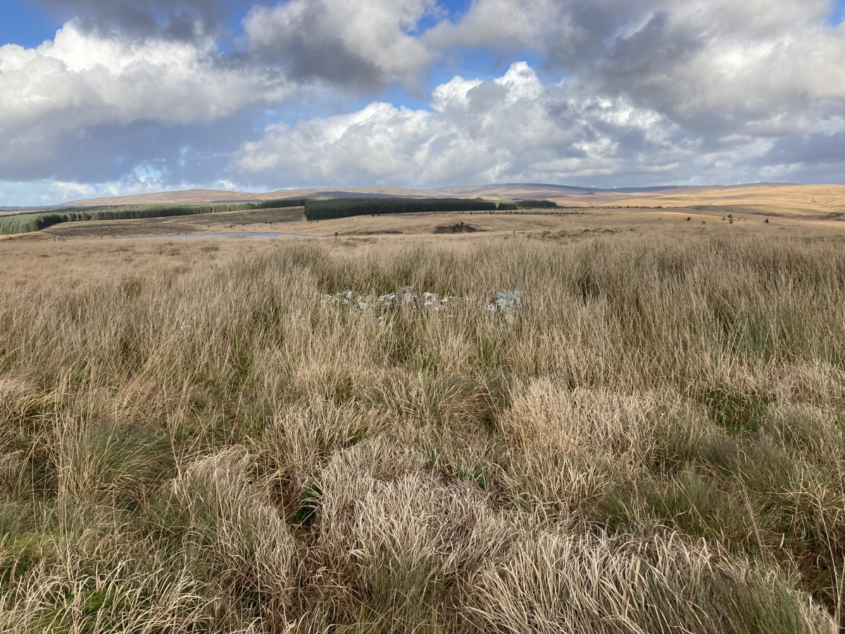 Click for the gallery page to add comments and vote (PID:251212) Diddles Hill Cairn
