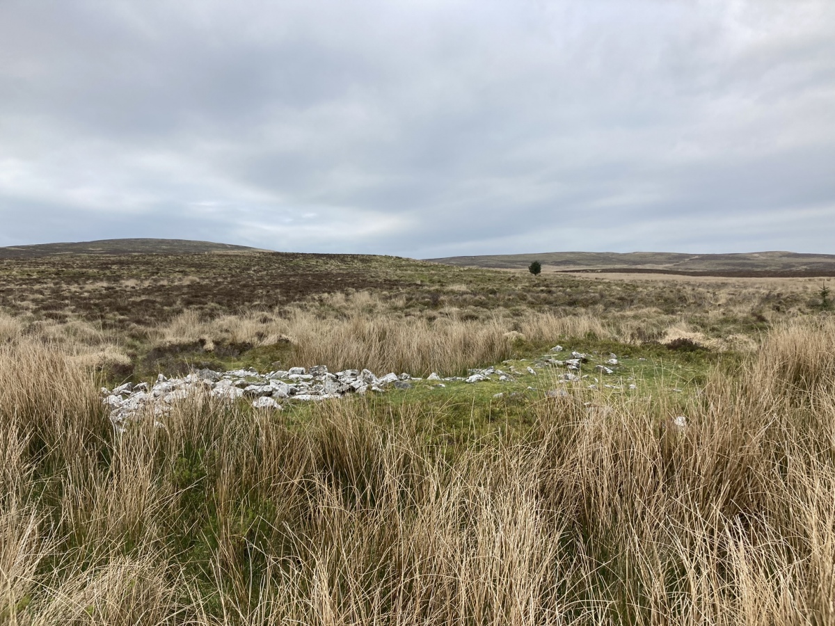 Click for the gallery page to add comments and vote (PID:273175) Drummanmoan Loan