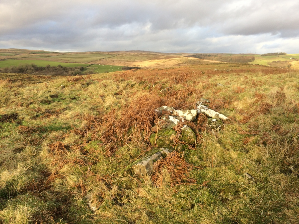 Dranigower Hut Circle W
