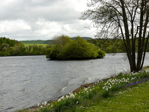 Click for the gallery page to add comments and vote (PID:110389) Black Loch Crannog