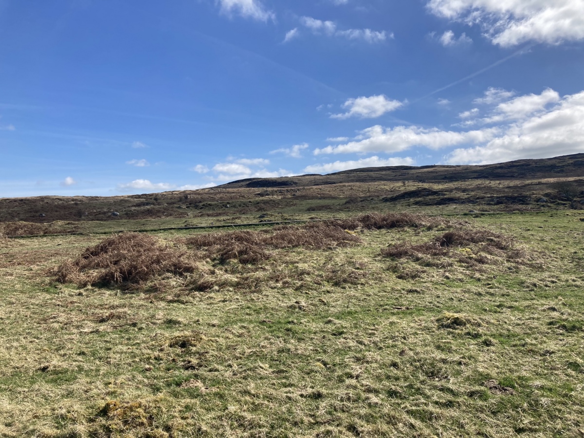 Click for the gallery page to add comments and vote (PID:256677) Brae Moor Cairn