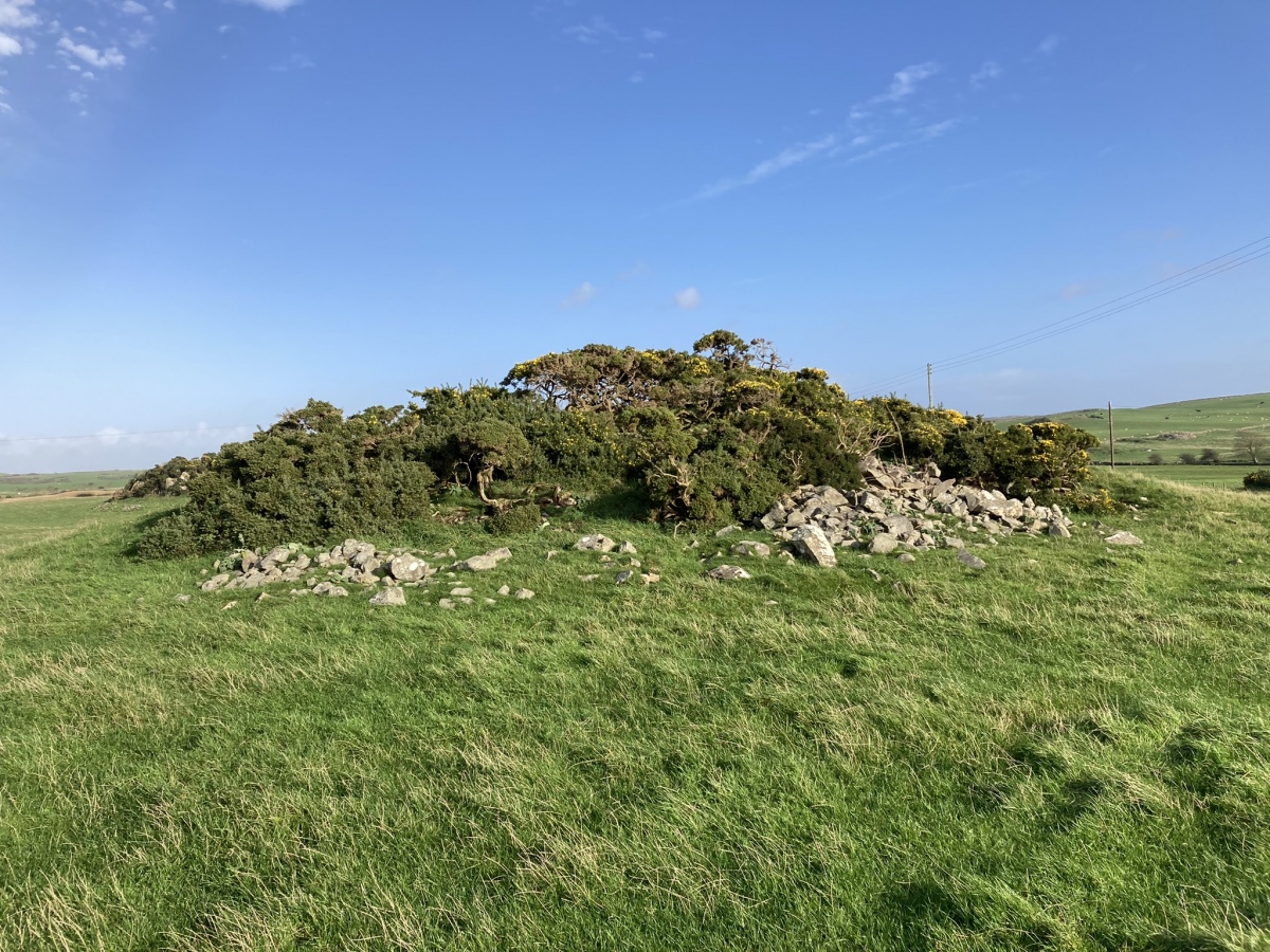 Click for the gallery page to add comments and vote (PID:250319) Culquhasen
