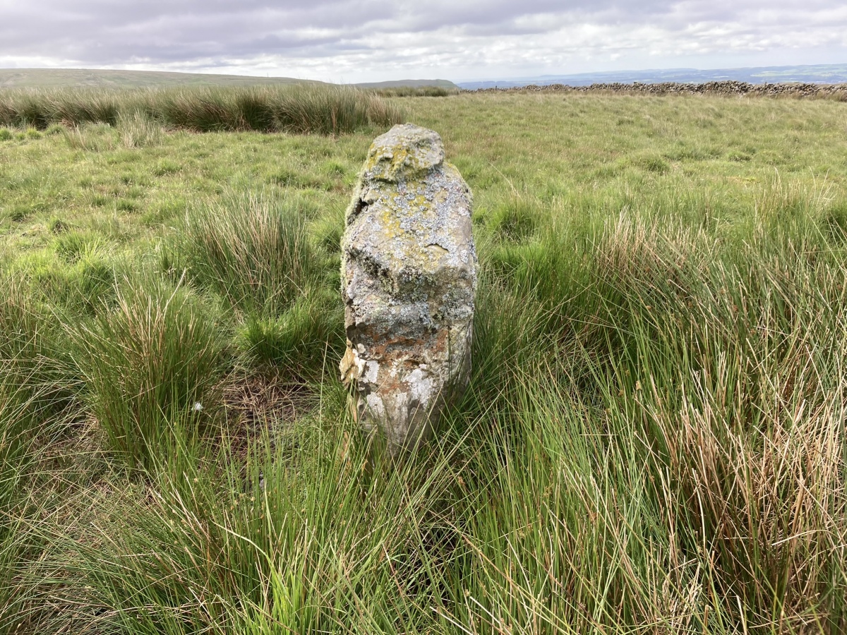 Click for the gallery page to add comments and vote (PID:274633) Drummuckloch Hill Standing Stone