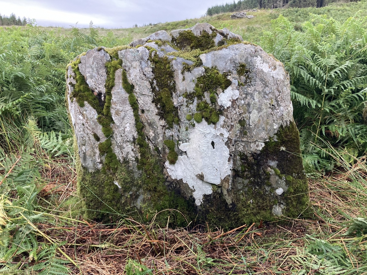 Glenquicken Stone