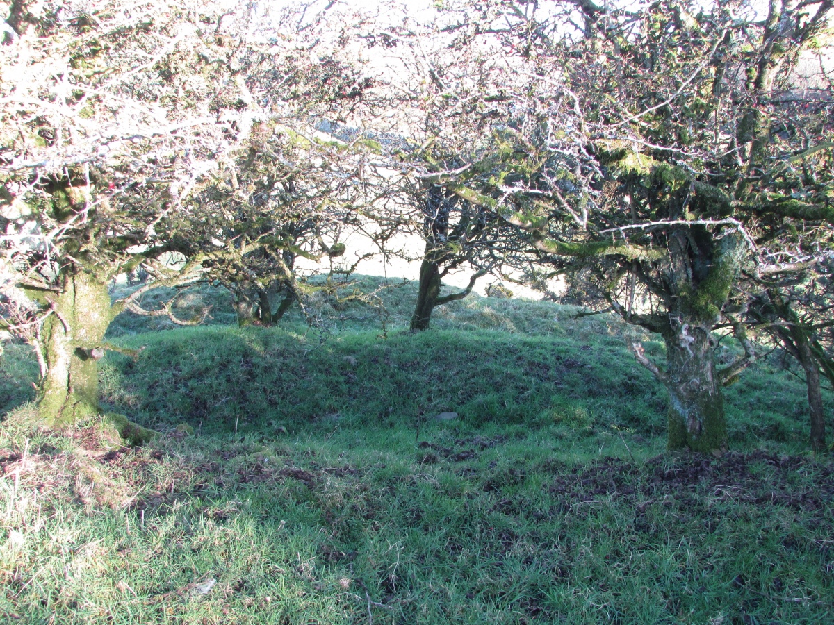 Click for the gallery page to add comments and vote (PID:219993) Arden Fort