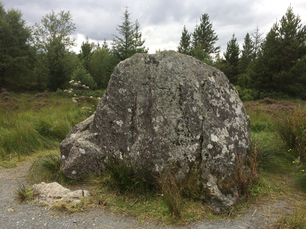 Click for the gallery page to add comments and vote (PID:227035) Bruce's Stone (Clatteringshaws)