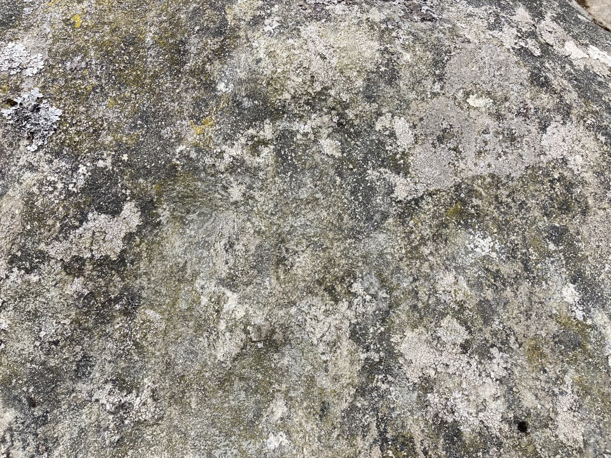 Badristrane 3