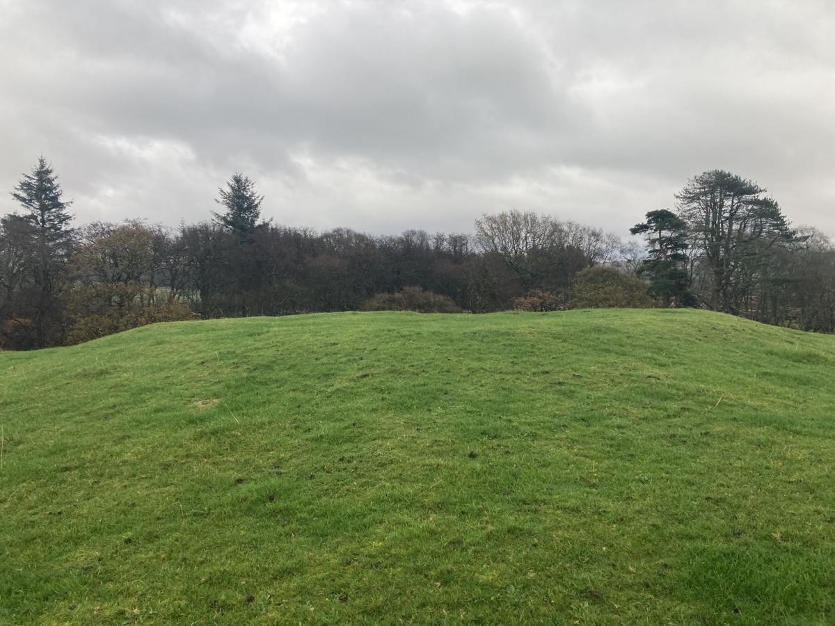 Click for the gallery page to add comments and vote (PID:251808) Gowk Nest Wood