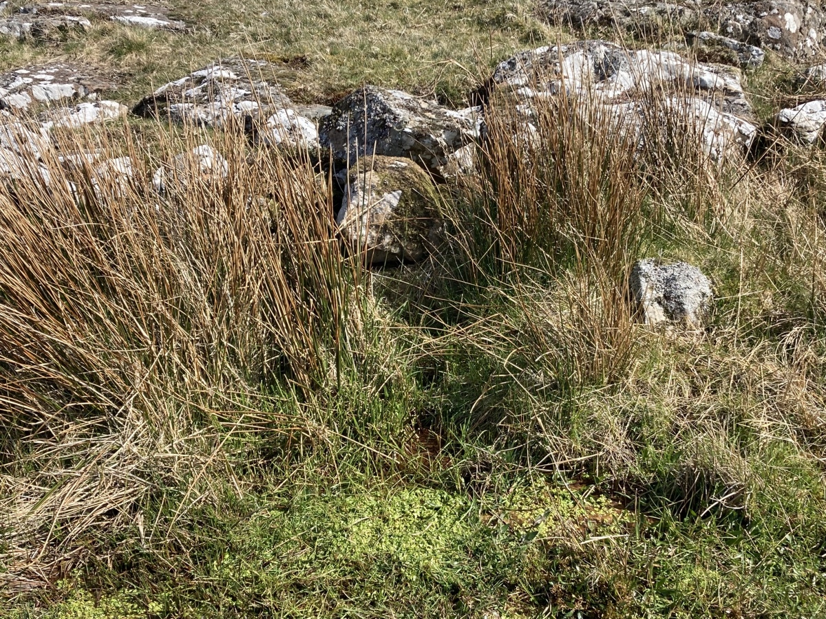 New Luce Map Kilhern Spa Well (New Luce), Dumfries and Galloway | Megalithic Portal