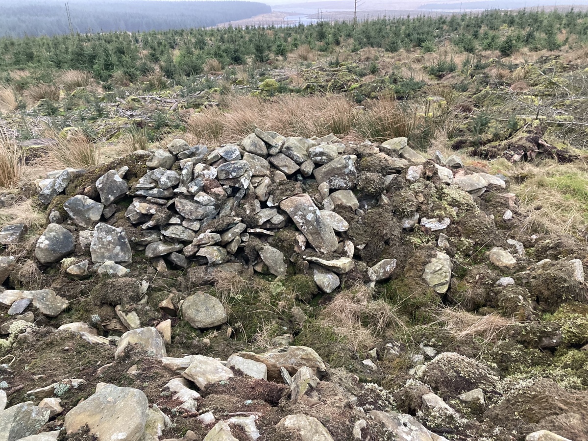 Click for the gallery page to add comments and vote (PID:268758) Brockloch Fell