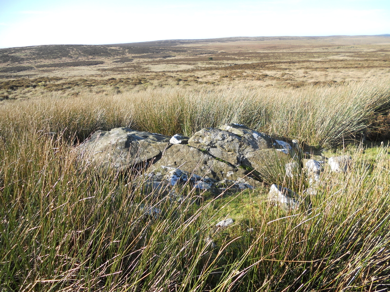 Click for the gallery page to add comments and vote (PID:185657) Auld Wife's Grave