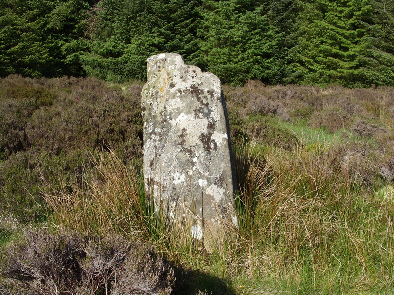 Click for the gallery page to add comments and vote (PID:195335) Long Tom (Cairnryan)