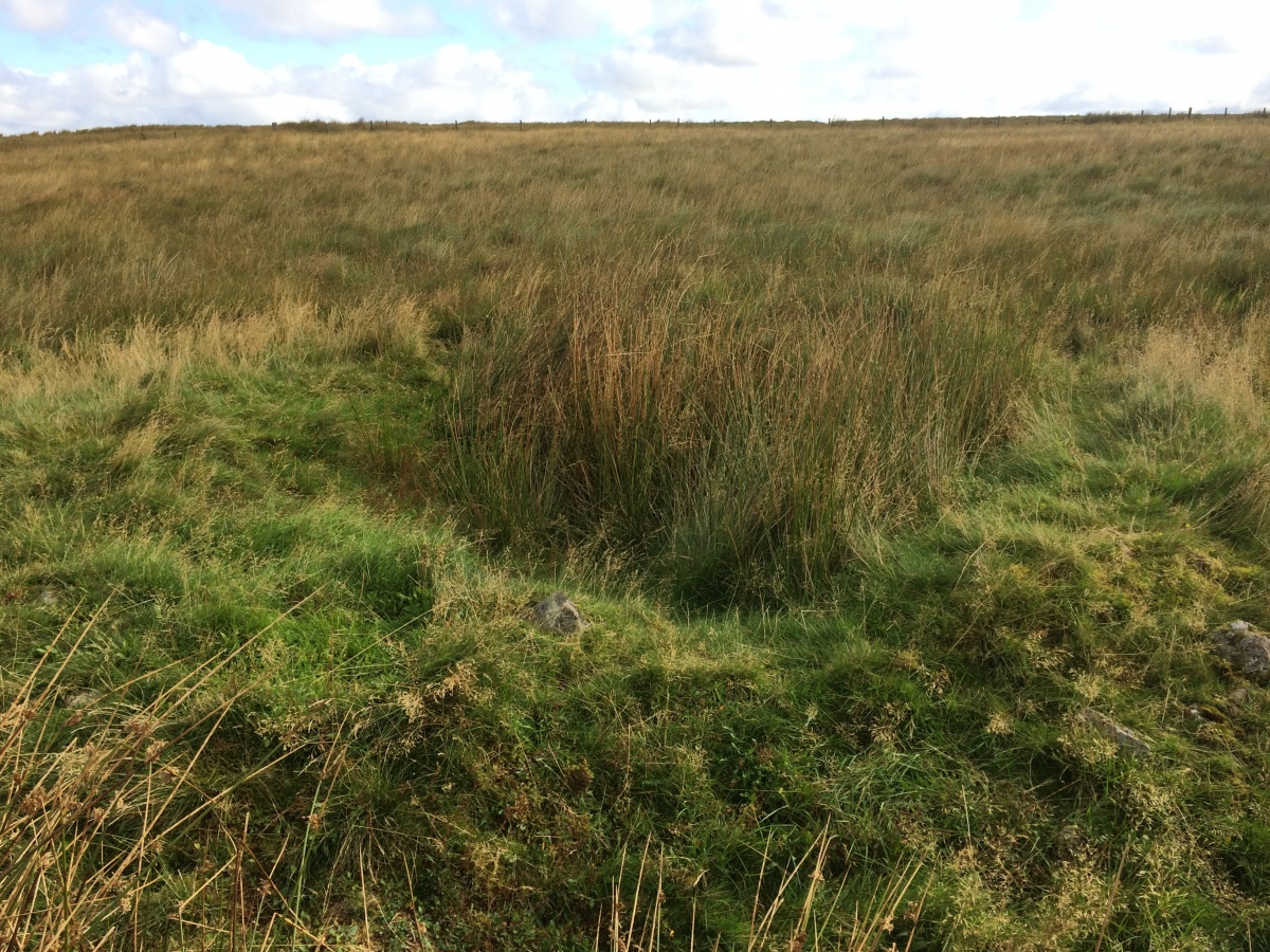 Beoch Hill Cairn