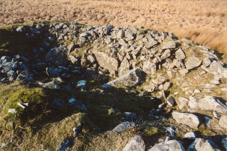 Click for the gallery page to add comments and vote (PID:12623) Cairn Kenny