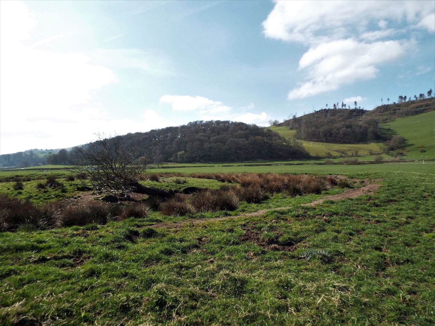 Picts Knowe, Dumfries and Galloway | Megalithic Portal