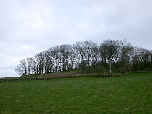 Click for the gallery page to add comments and vote (PID:6205) Drummore