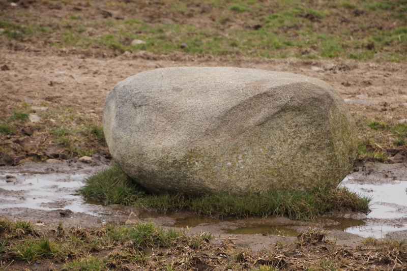 Click for the gallery page to add comments and vote (PID:146319) Torhousekie Standing Stone