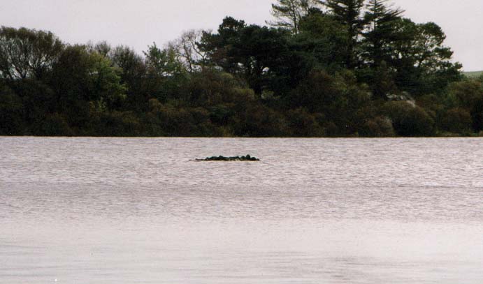Click for the gallery page to add comments and vote (PID:2201) Elrig Loch