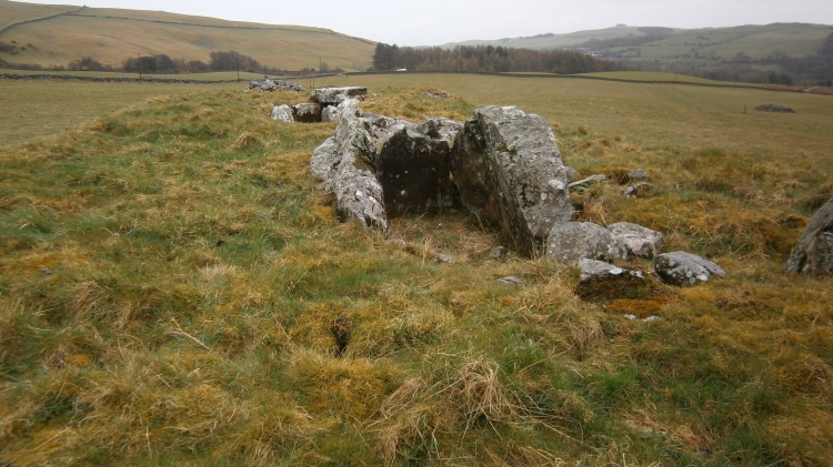Mid Gleniron 1