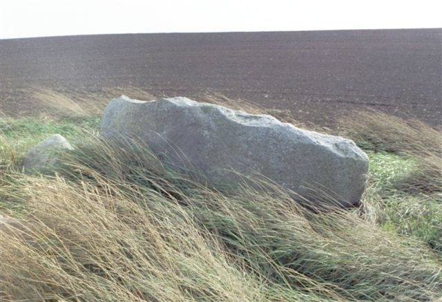 West Cairngaan stone