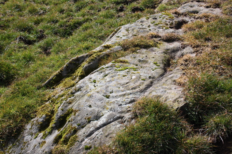 North Balfern Cup and Rings