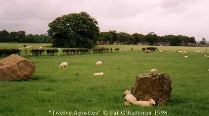 Twelve Apostles (Dumfries)