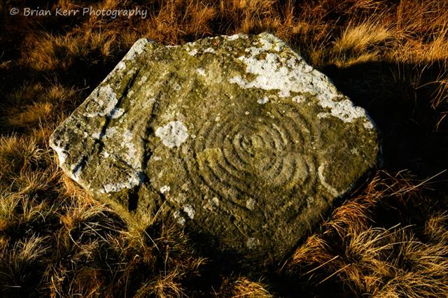 Click for the gallery page to add comments and vote (PID:44236) Penny Stone (Cambret Moor)