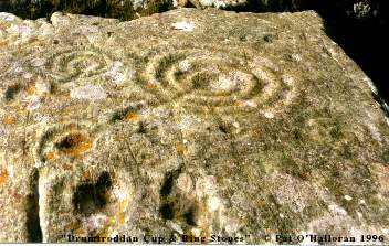 Click for the gallery page to add comments and vote (PID:1284) Drumtroddan Cup and Ring Markings