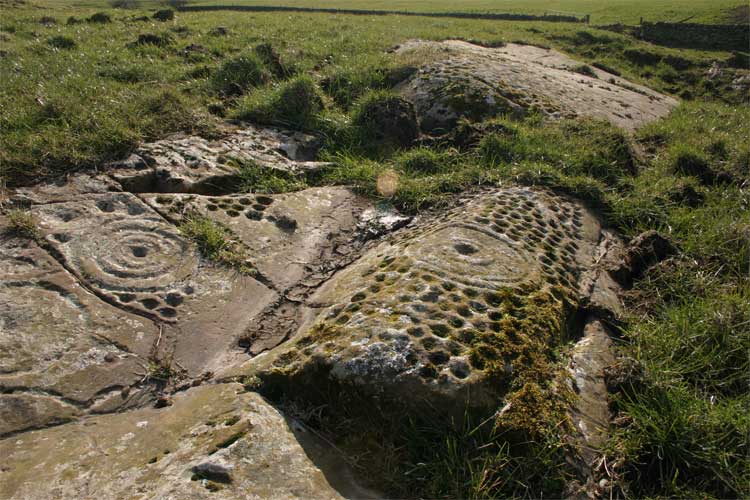 High Banks Farm