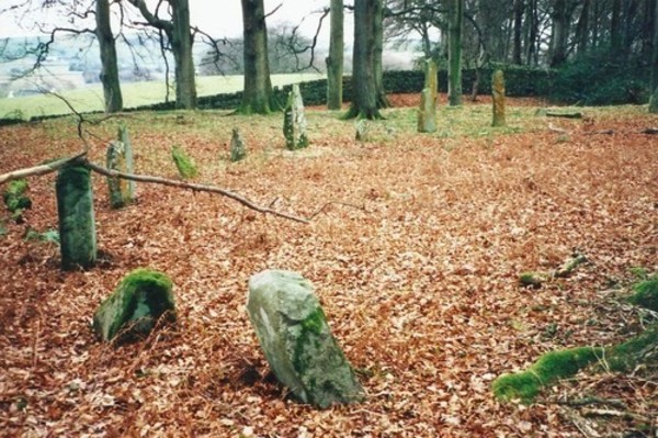 Click for the gallery page to add comments and vote (PID:110416) Temple Wood (Dunscore)