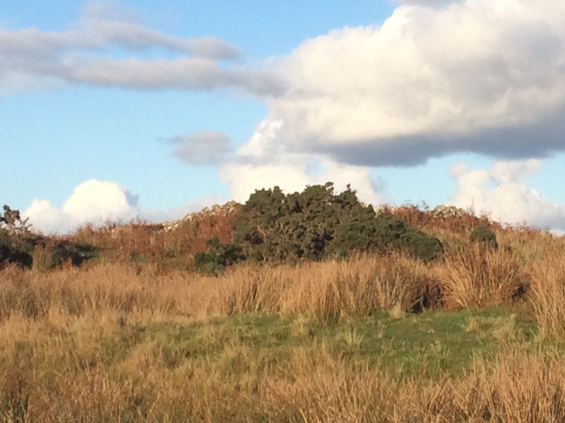 Culroy White Cairn