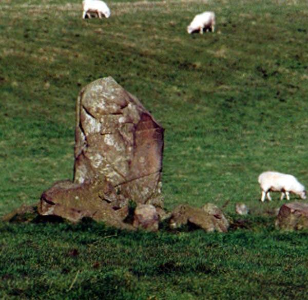 Knock and Maize standing stone