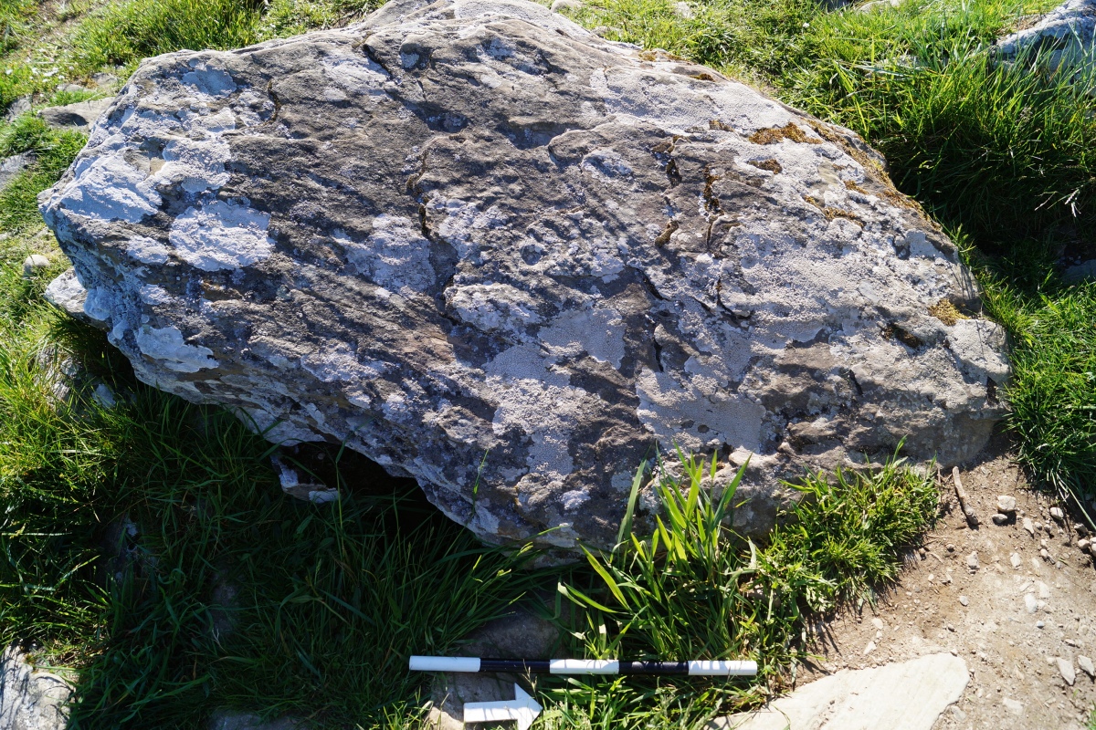 Cairnholy 2 (Rock Art)