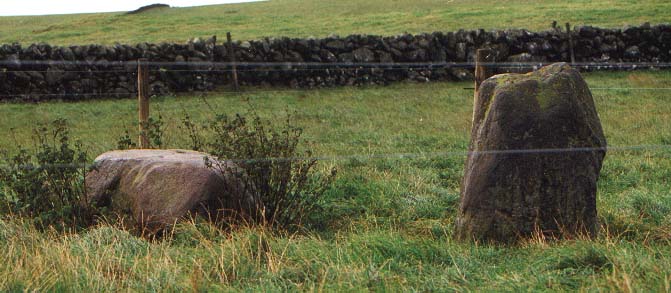 Click for the gallery page to add comments and vote (PID:1868) Knocknocher stone pair